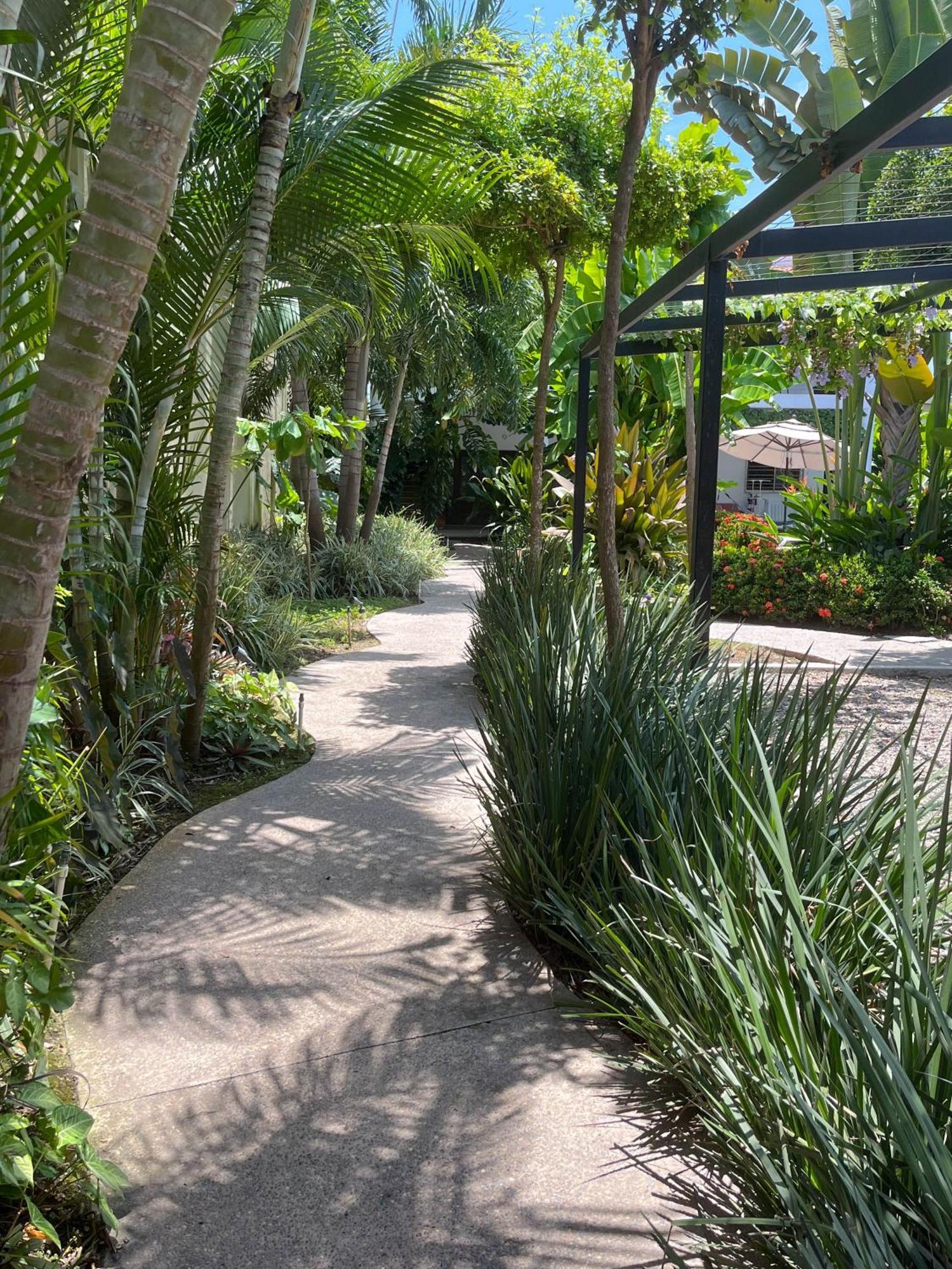 Los Gallos - Departamento Planta Baja โลเดมาร์กอส ภายนอก รูปภาพ